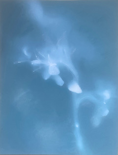 Photo: Susanne Neiss