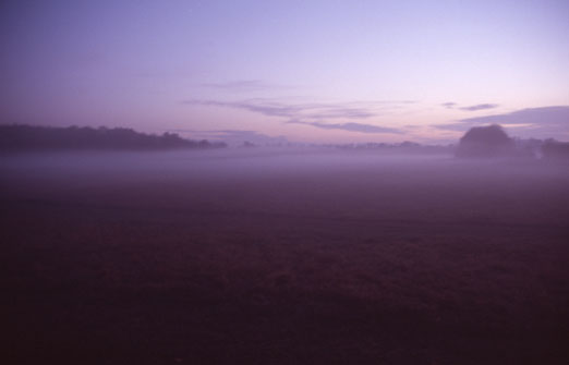 aus „screen”, 2009, 85 x 127,5 cm