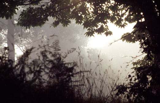 el camino, ohne Titel, 2004, 85 x 127,5 cm