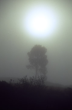 el camino, ohne Titel, 2004, 85 x 127,5 cm